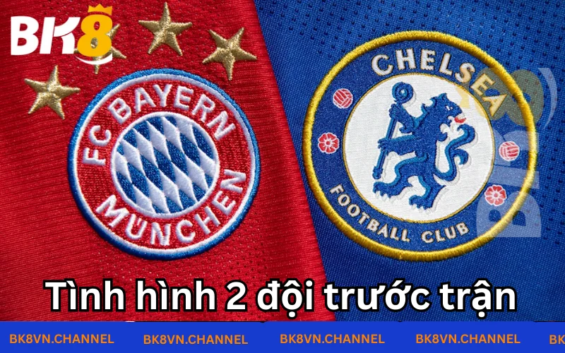 Tình hình hùm xám và The blue trước trận khởi tranh Tình hình hùm xám và The blue trước trận khởi tranh